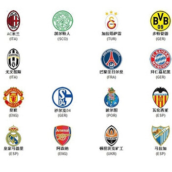 巴斯托尼：我对自己向来要求严苛，意超杯对我们意义重大（巴斯托尼：自我要求极高，意超杯对我们意义非凡）