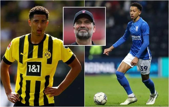 2026年世界杯五大夺冠热门：最有希望捧杯的是谁？