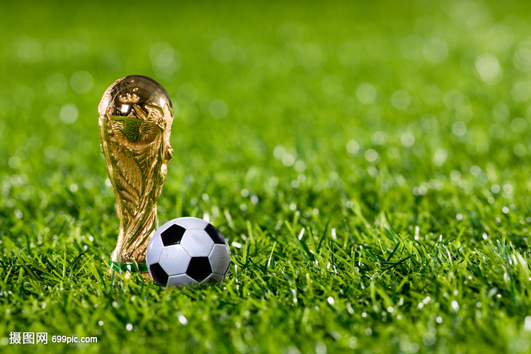 里贝里：“就我个人而言，我认为我和罗本在某些时候...